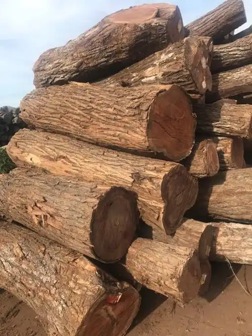 墨西哥白酸枝原木 阔变豆 南美红酸枝木 非洲红酸枝