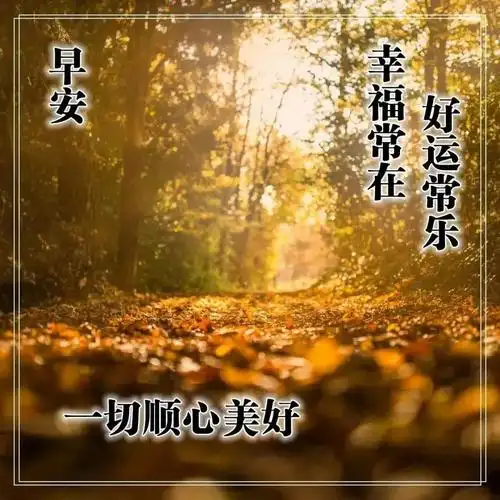 11月6日周一最新漂亮早上好问候动态图带字11月最美早安问候祝福语