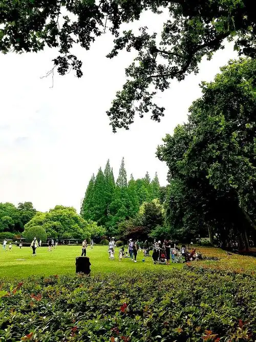 夏日的中山公园