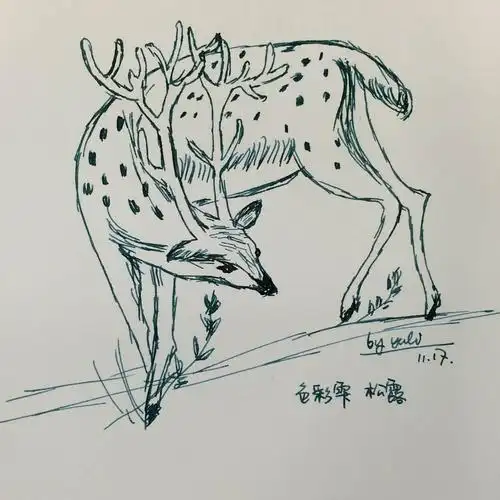 色彩雫 松露 pilot 全钢小钢笔