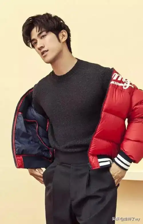 李治廷个人资料(华语男星李治廷的魅力) | 说明书网