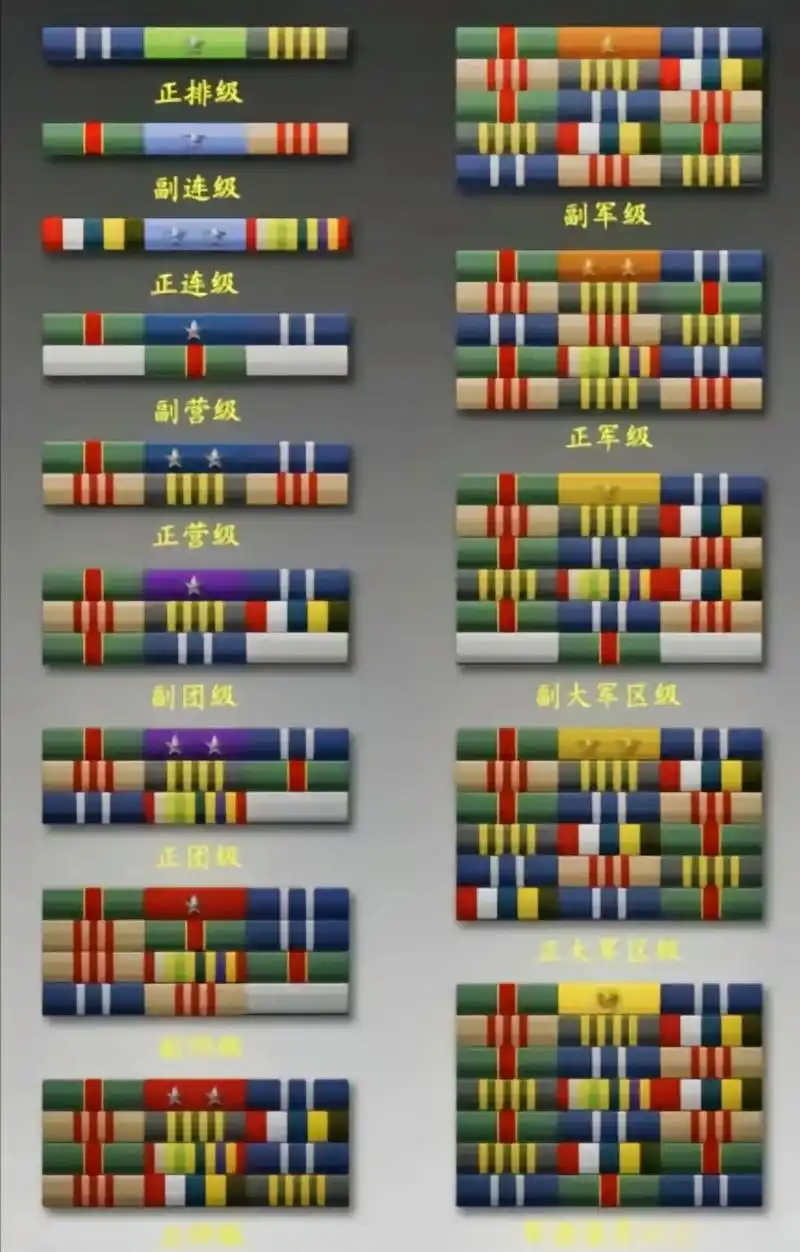 资历章 #军队 #军衔等级 - 抖音