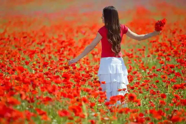 红色花中的红衣女孩
