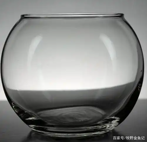 玻璃圆缸不能养金鱼?不存在的,我从玻璃圆缸爱上了养鱼