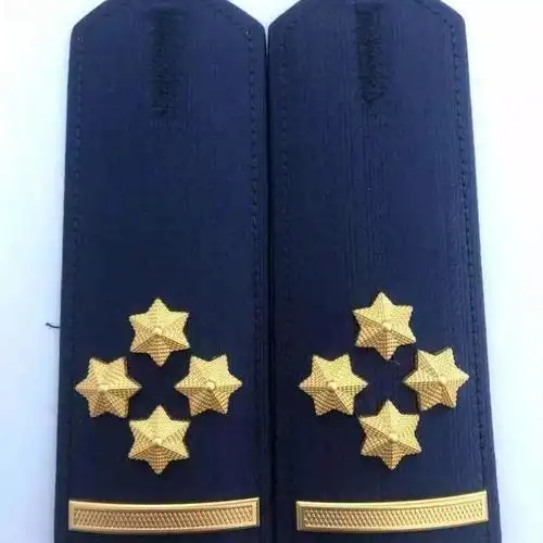 军衔肩章中国消防救援消防简章胸标专职消防员衔消防救援衔领花 干硬
