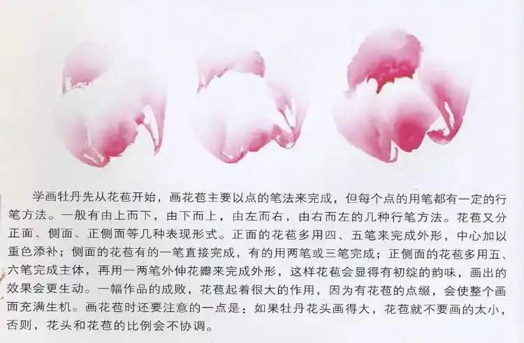 崔庆国怎样画写意牡丹图解