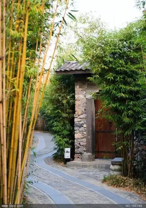 返璞归真,乡村院子