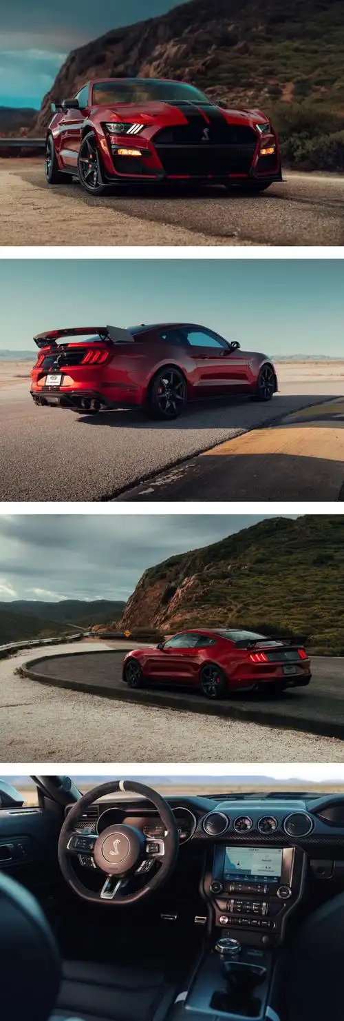 は蛋|福特mustang shelby gt500