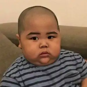 还记得小胖吗头像