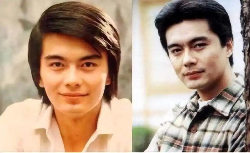 回顾何晴给了刘威青春给了许亚军孩子为何转身嫁大9岁的廖京生