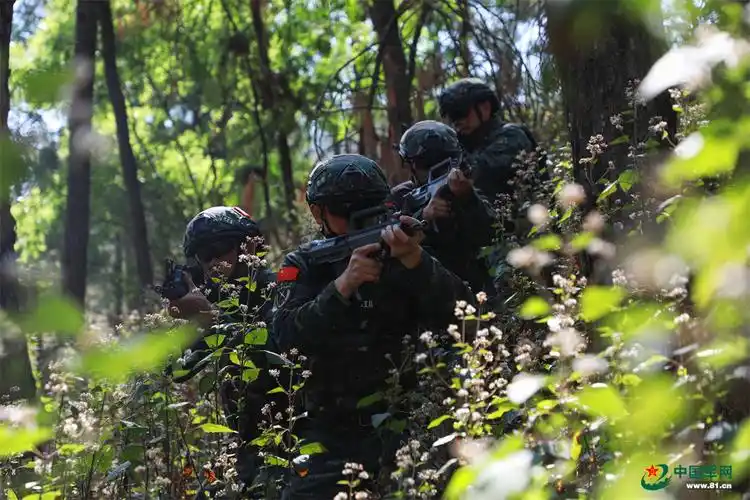 武警某支队特战中队开展捕歼战斗演练掠影 - 中国军网