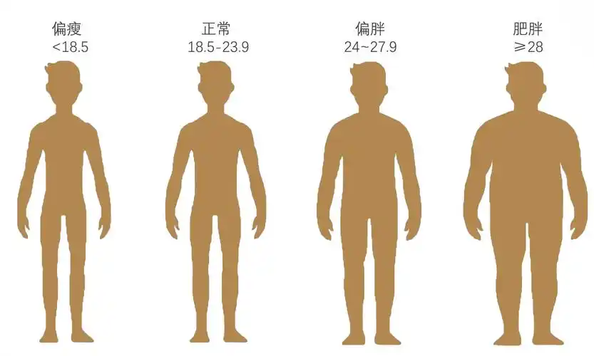 测算公式:体重指数(bmi)=体重/身高的平方(国际单位:kg/㎡)了解体型要