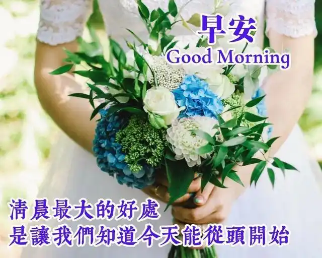 早晨最暖心的问候语 漂亮女人清晨问候祝福图片 - 早安心语- 不二励志