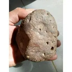 古铜辉陨石(无磁)