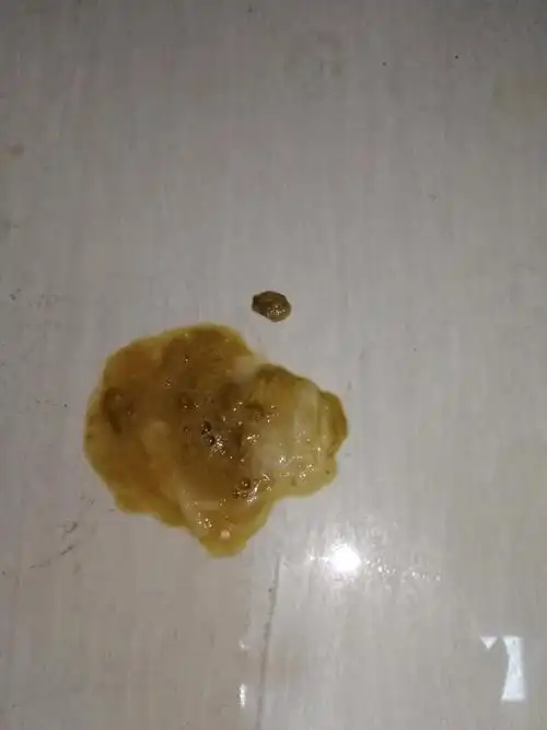 狗狗拉稀,黄色,还有白色东西