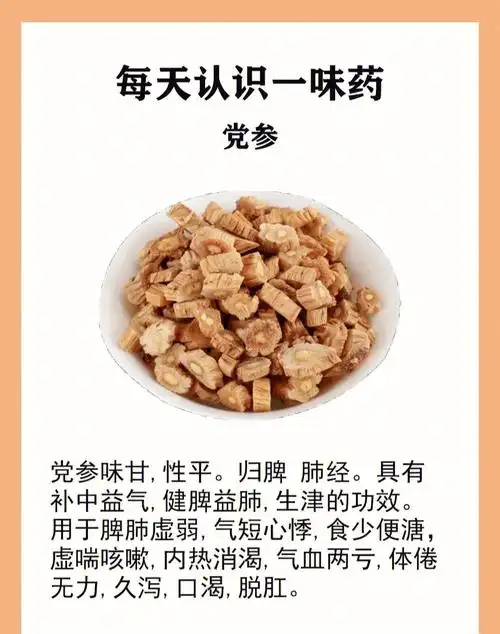 党参的功效是补中益气,生津养血.