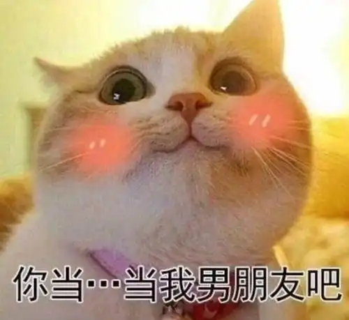 抖音表情包丨举头望明月 低头想亲你!