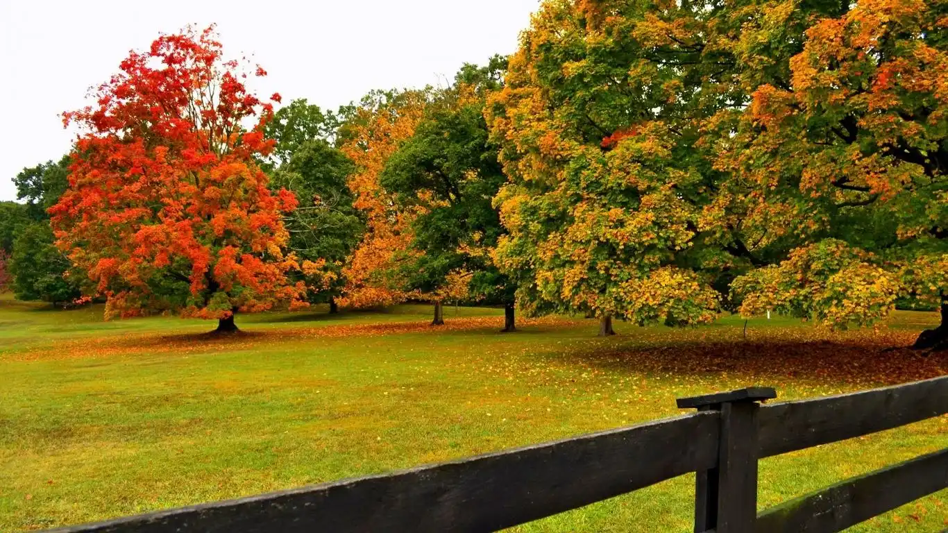 唯美秋天自然风景桌面壁纸 第二辑高清大图预览1920x1080_风景壁纸