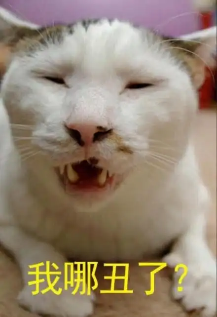 我哪丑了啊? - 斗图表情包 - 爱逗图