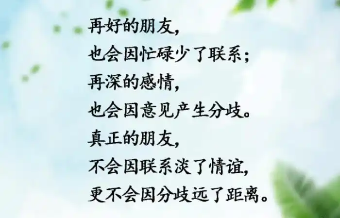 有一种友情即使不联系也不会忘记即使不问候