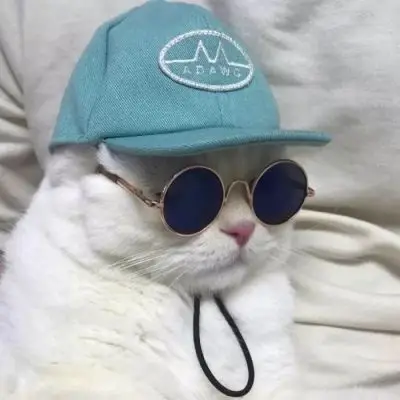 沙雕头像 奇奇怪怪 可可爱爱