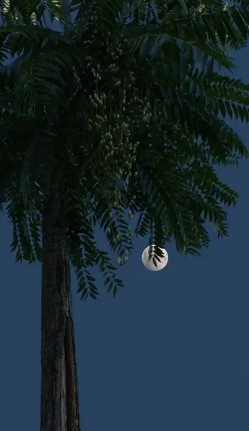 "原来是人都会有执念啊 "治愈系纯风景 "唯美意境