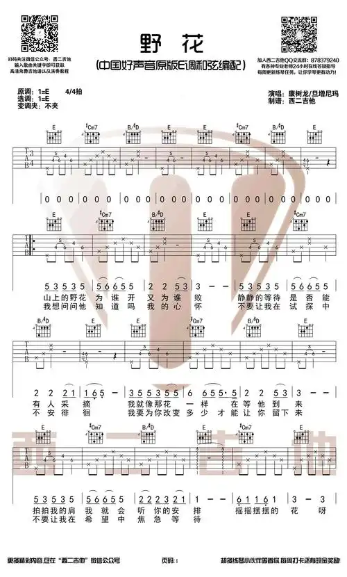 野花吉他谱康树龙旦增尼玛中国好声音版e调弹唱谱田震