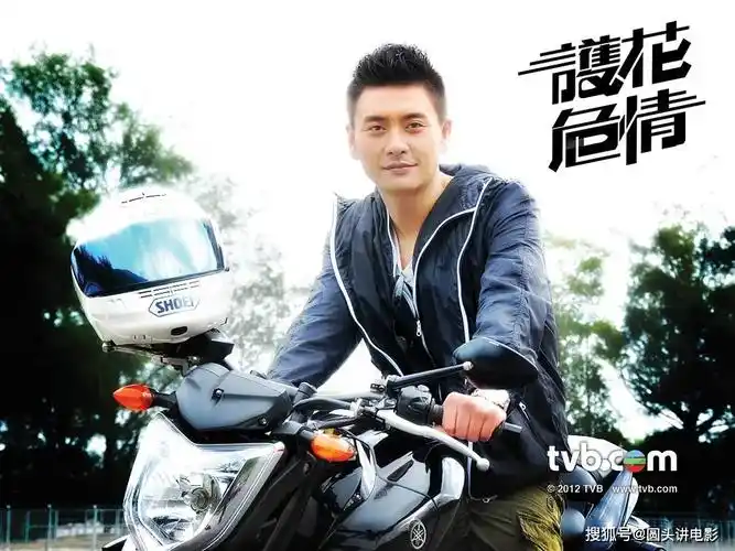 五部经典tvb警匪剧,哪一部让你百看不厌!_谢天华