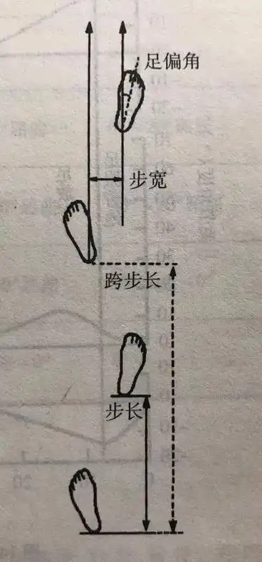 你真的会走路吗?行走是一门必修课!