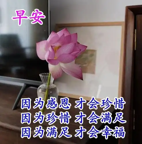 清晨朋友圈很常用的早安表情图片,愿我的问候给你快乐