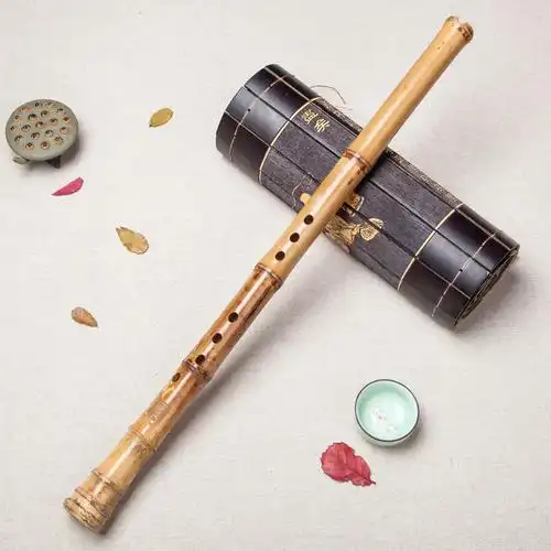 南箫乐器专业桂竹老料演奏级8孔6竹根萧g初学f入门一节高档古风潇