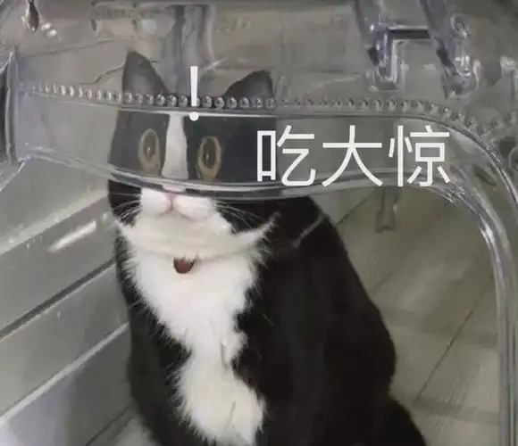 吃大惊_大惊表情 - 发表情 - fabiaoqing.com