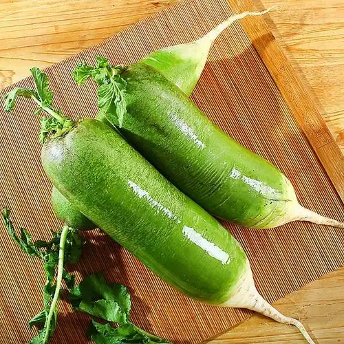 赛卡伊 青萝卜现挖新鲜白萝卜蔬菜批发水果萝卜2/5斤