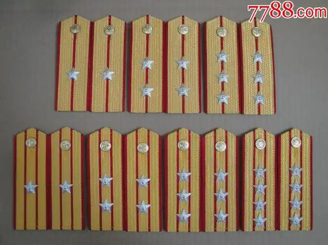 87式陆*肩章,7副一套.