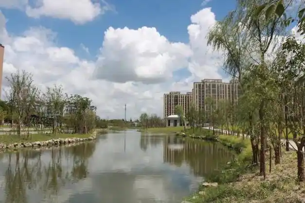 河岸绿植茵茵,精心打理的河道是城市里一道亮丽的风景线