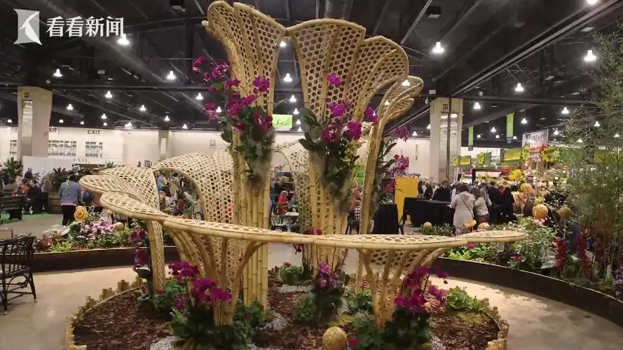 视频全球最大室内花展开幕中美民间交流锦上添花
