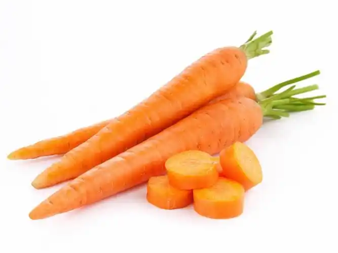 fresh carrot in viet nam/ high quality/ sweet/ whatsapp  84-845