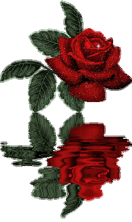 280_472竖版 竖屏gif 动态图 动图