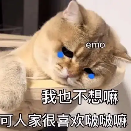 emo 我也不想嘛可人家很喜欢啵啵嘛(猫咪表情包)_猫咪_emo表情