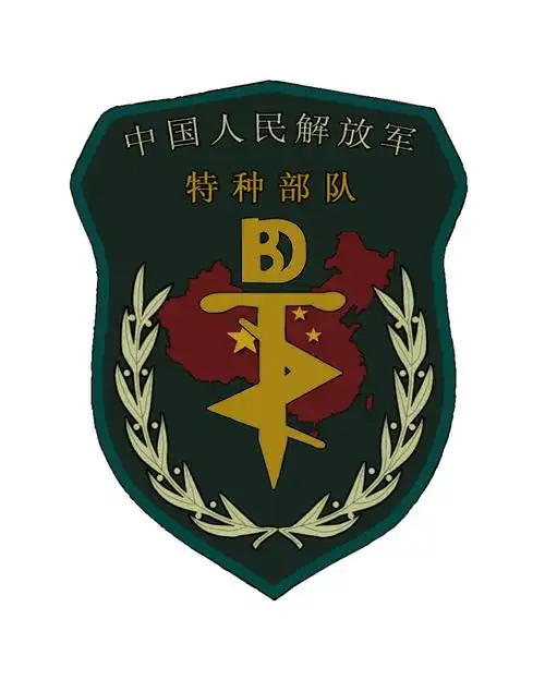 展开全部 解放军特种部队