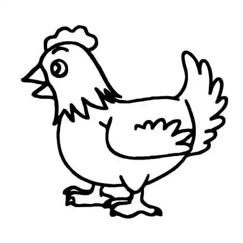 大公鸡10种日常蔬菜水果简笔画育儿家长幼师必备公鸡简笔画32p动物简