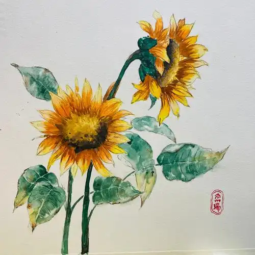 水彩向日葵水彩初学者