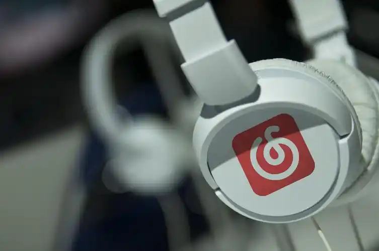 网易云音乐2022年上半年营收426亿元净亏损22亿元注册独立音乐人529万