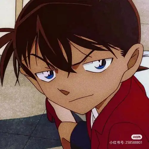 万能龙套少年侦探团怎么这么像柯南(除了灰原哀柯南)远山和叶这不会是