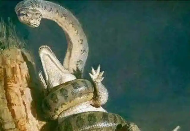 世界上体型最大的蛇有多大?这种蛇重约1吨,以巨鳄,巨龟为食|蛇类|蟒蛇