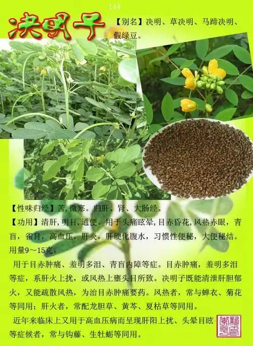 常用中草药300种图谱