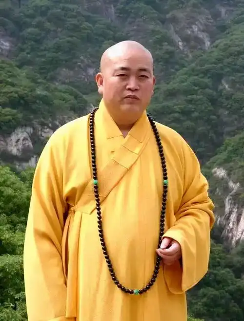 少林住持释永信(释永信巨匠何以备受争议?) 第7张