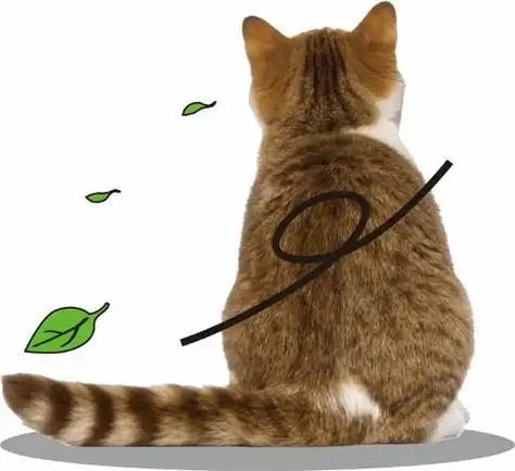 谁能帮我弄一张猫的背影的黑白图黑色小猫卡通背影头像