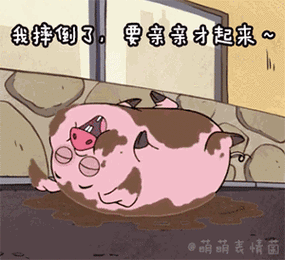 摇摇猪表情包47张