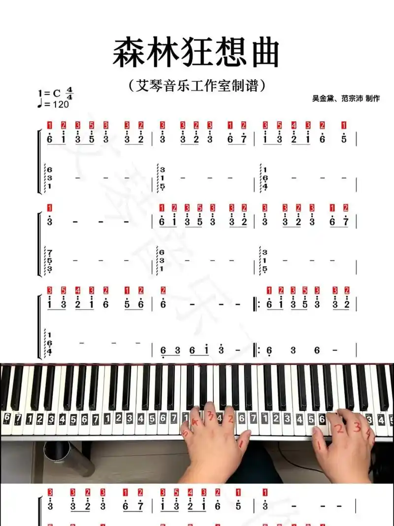 钢琴弹奏《森林狂想曲》简谱 动态谱 流水,雀鸟之声,能镇静人的情绪